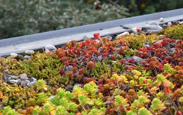 the cost of Hayfield green roof installation