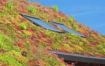 Hayfield living roof systems