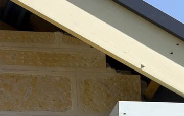 soffit repair Hayfield